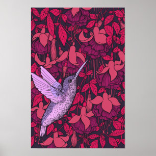 Humingvogel und Fuchsienviolett Poster