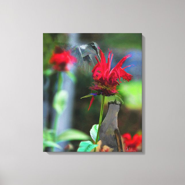 HUMMBIRDS- Leinwand - 20 x 24 (Vorderseite)