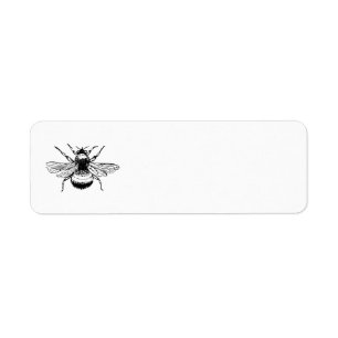 Hummel