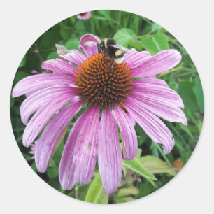 Hummel auf der lila Ost-Blume Runder Aufkleber