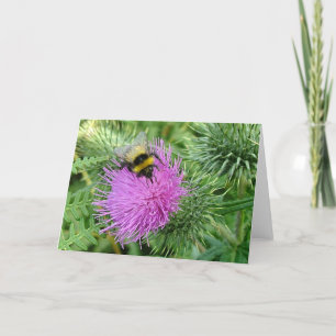 Hummel auf Distel Karte
