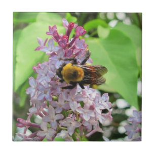 Hummel auf Flieder Fliese