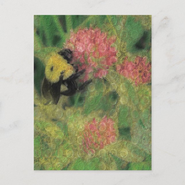 Hummel auf Klee Postkarte (Vorderseite)