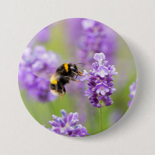 Hummel auf Lavendel Button