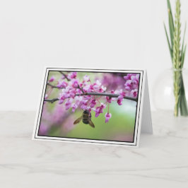 Hummel auf Redbud-Blüten Karte