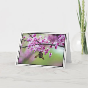 Hummel auf Redbud-Blüten Karte
