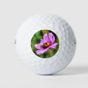 Hummel auf rosa Kosmos Golfball