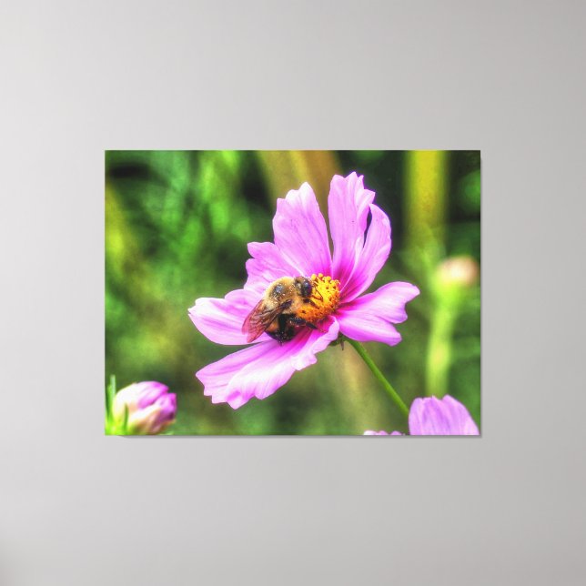Hummel auf rosa Kosmos Leinwanddruck (Vorderseite)