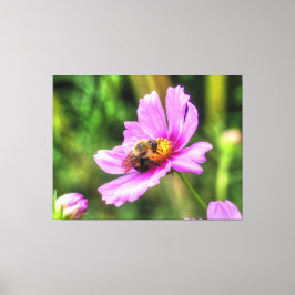 Hummel auf rosa Kosmos Leinwanddruck