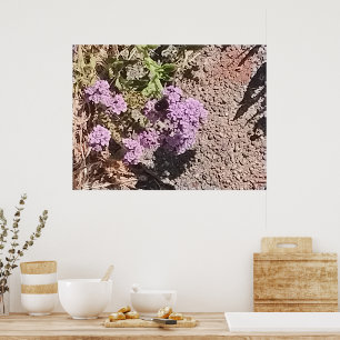 Hummel beim Sammeln von Nektar aus lila Verbena Poster