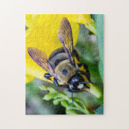 Hummel-Biene