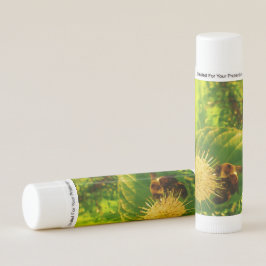 Hummel Biene Fütternd auf Nectar Lip Balm