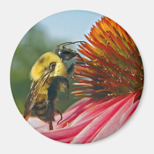 Hummel-Biene mit Himmel-Herzen Magnet