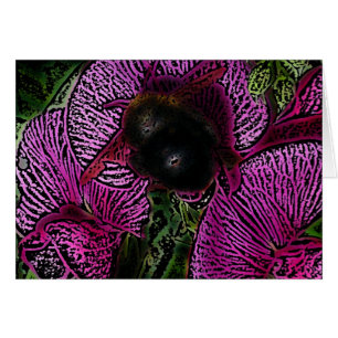 Hummel-Biene und Platterbsen