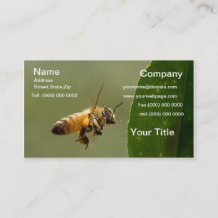 Hummel-Bienen-Fliegen-Geschäftskarte Visitenkarte