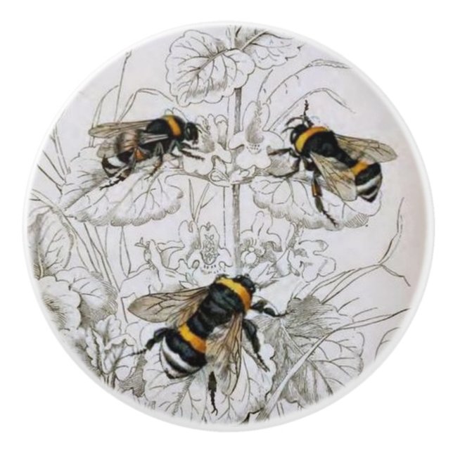 Hummel Botanical Keramikknauf (Vorderseite)