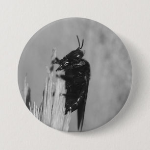 Hummel Button