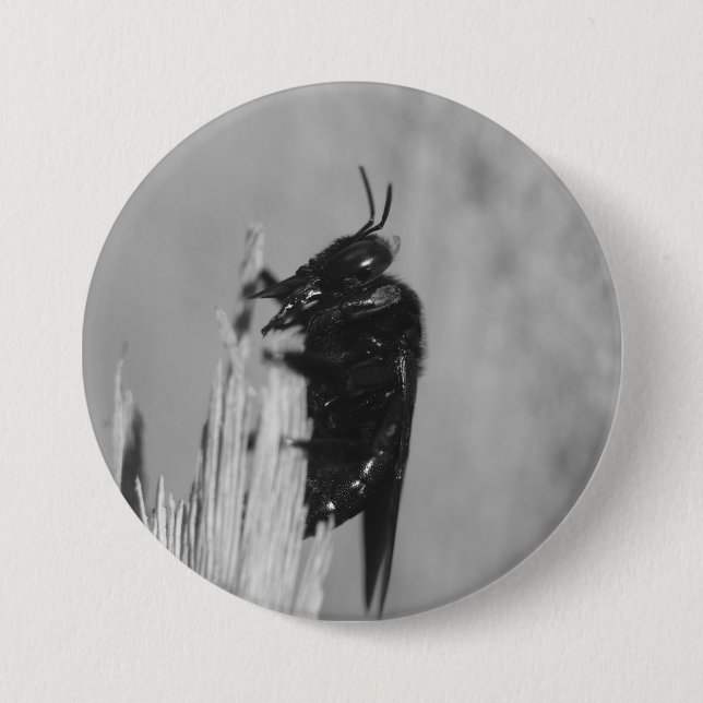 Hummel Button (Vorderseite)