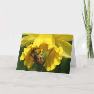Hummel Feiertagskarte