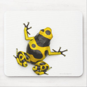 Hummel-Gift-Pfeil-Frosch Mousepad