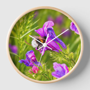 Hummel in Blüte - Natur- und Insektenfotografie Uhr