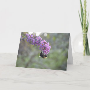 Hummel Karte
