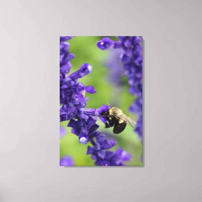 Hummel Leinwanddruck (Vorderseite)