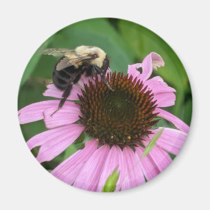 Hummel Magnet
