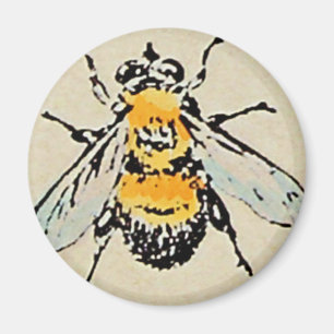 Hummel-Magnet Magnet