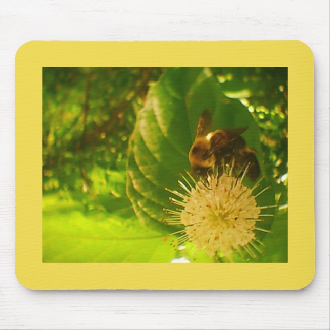 Hummel Mousepad (Vorne)