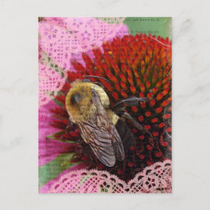 Hummel Postkarte