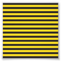 Hummel Schwarz Gelbe Horizontale Linien Hummel