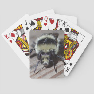 Hummel-Spielkarten Spielkarten