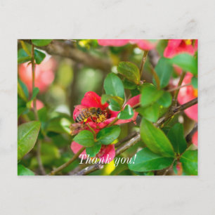 Hummel und Azalee Dankeschön-Postkarte Postkarte