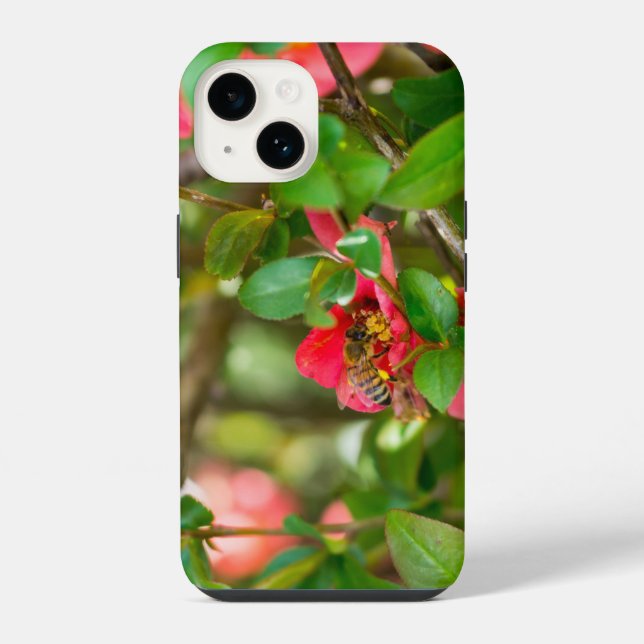 Hummel und Azalee iPhone-Hülle iPhone 14 Hülle (Rückseite)