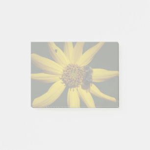 Hummel und Sonnenblumen Post-it Klebezettel