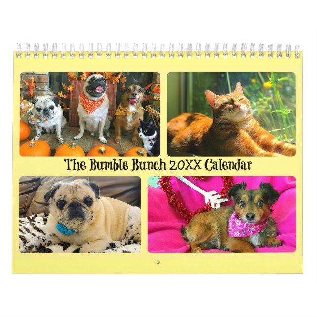 Hummel - Veranstaltungskalender 2020 Kalender (Titelbild)