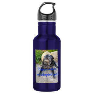 Hummel-Wasser-Flasche: Glück ist… Edelstahlflasche