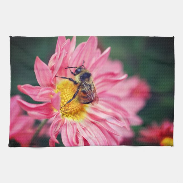 Hummelbiene auf rosa Daisy Blume 2 Geschirrtuch (Horizontal)