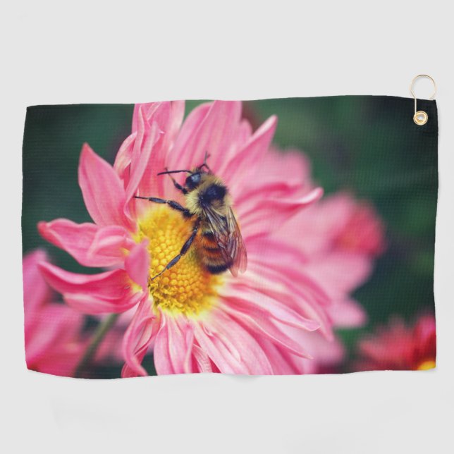 Hummelbiene auf rosa Daisy Blume 2 Golfhandtuch (Horizontal)