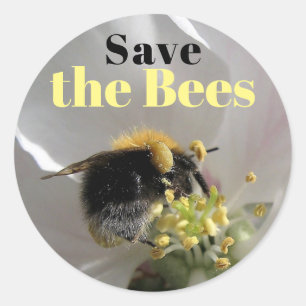 Hummelbiene Rette die Bienen Runder Aufkleber