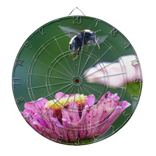 Hummelflug Dartscheibe (vorne)