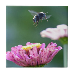 Hummelflug Fliese