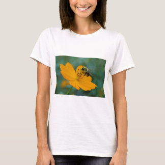 Hummeln Ansammlung Pollen auf einem orangen Kosmos T-Shirt