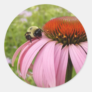Hummeln auf Blume-Aufkleber Runder Aufkleber
