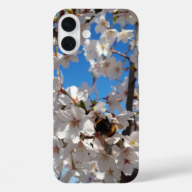 Hummeln auf der Blüte der Wildkirsche iPhone 16 Plus Hülle (Rückseite)