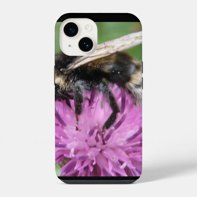 Hummeln auf einem Daul iPhone Hülle (Rückseite)