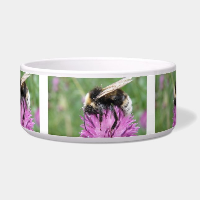 Hummeln auf einer Thistle Dog Bowl Napf (Vorderseite)