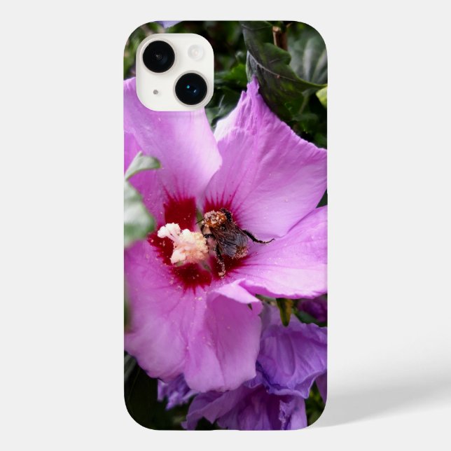 Hummeln auf Hibiskus Blume Case-Mate iPhone 14 Plus Hülle (Rückseite)
