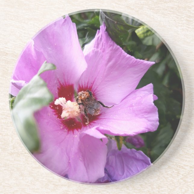 Hummeln auf Hibiskus Blume Getränkeuntersetzer (Vorne)